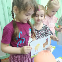 Всемирный день животных Всемирный день животных.
